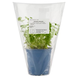 Tesco Eat Fresh Coriander