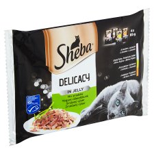 Sheba Delicacy in Jelly Smíšený výběr 4 x 85g (340g)