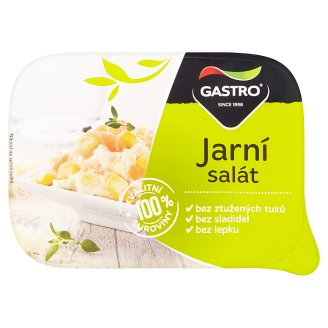 Gastro Jarní salát 140g