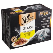 Sheba Delicacy in Jelly Drůbeží výběr 12 x 85g (1,02kg)