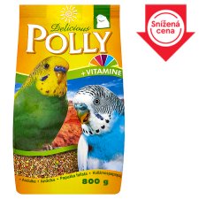 Polly Delicious Complete Food for Budgies 800g