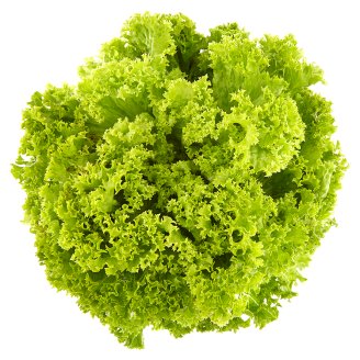 Tesco Lollo Biondi Lettuce - Tesco Groceries