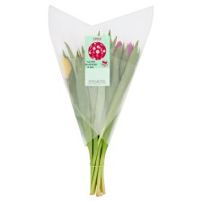 Tesco Kytice tulipánů 12 stonků