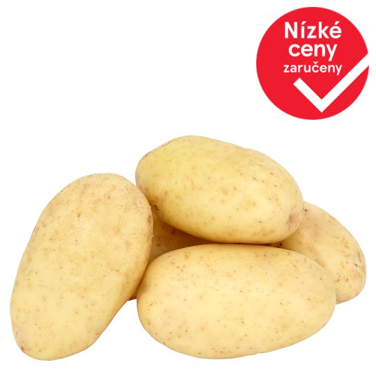 Brambory pozdní