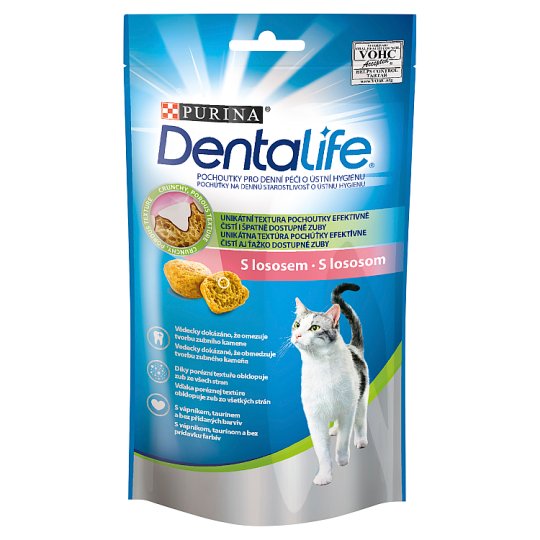PURINA Dentalife Cat with Salmon, 40g Tesco Groceries