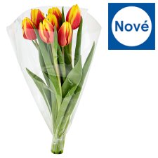 Tesco Kytice tulipány