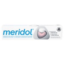 meridol Gum Protection & Gentle White Toothpaste 75 ml