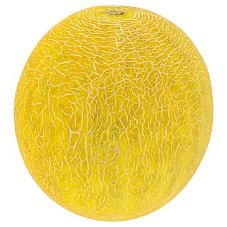 Galia Melon