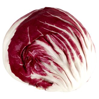 Čekanka Radicchio
