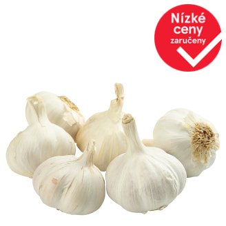 Česnek