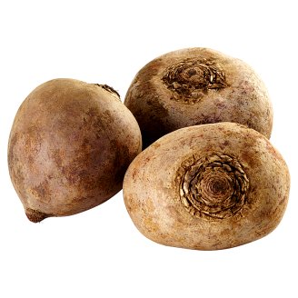 Řepa červená