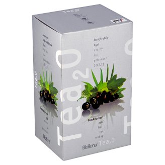 Biogena Tea2O Ovocný čaj porcovaný černý rybíz & açaí 20 x 2,5g