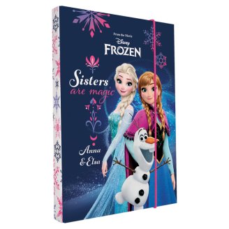 Disney Frozen Box na sešity A4