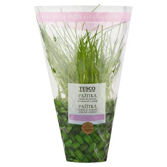 Tesco Eat Fresh Pažitka