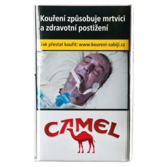 Camel Modern Reds cigarety s filtrem 20 ks