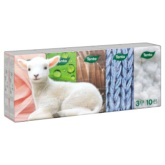 Tento Hygienické kapesníky 10 x 10 ks