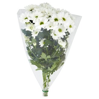 Tesco Kytice Chrysanthemy