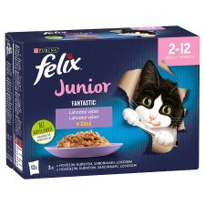 FELIX Fantastic Junior Delicious Selection 12 x 85g