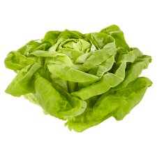 Tesco Lettuce