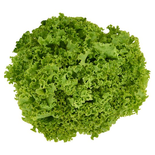 Salad Lollo Biondo