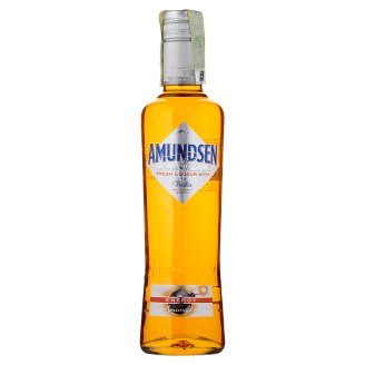 Amundsen Energy 0,5l