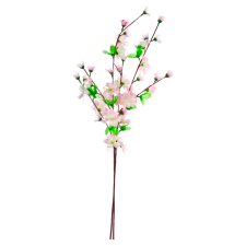 Appletree Twig