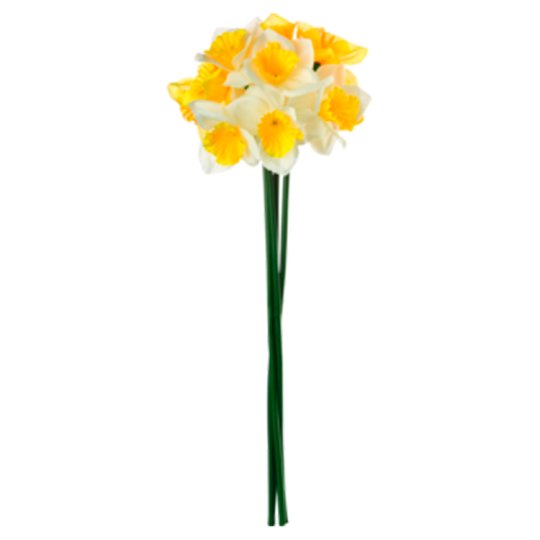 Daffodil Twig Tesco Online, Tesco From Home, Tesco Doboz