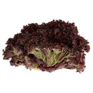 Lollo Bionda saláta