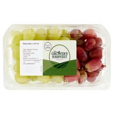 The Grower's Harvest Seedless Grapes Mix 500 g