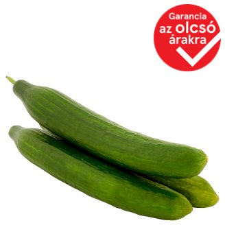 Kígyóuborka