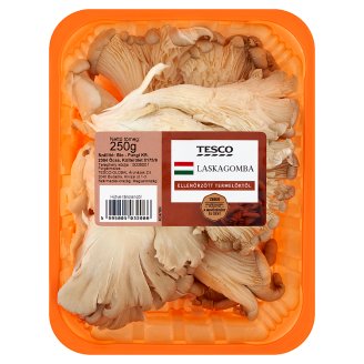 Tesco laskagomba 300 g