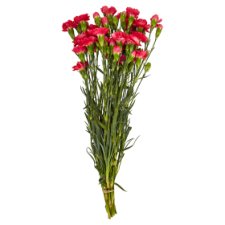 Tesco Carnation Bouquet 10 Thread