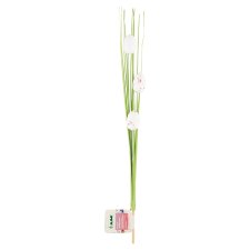 Jumi Grass and Eggs Easter Decoration