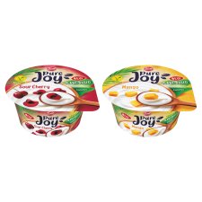 Zott Pure Joy Coconut Milk Based Fermented Product 125 g