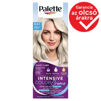 Schwarzkopf Palette Intensive Color Creme intenzív krémhajfesték 9,5-1 ezüstszőke (C9)