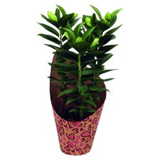 Liliom 13 cm