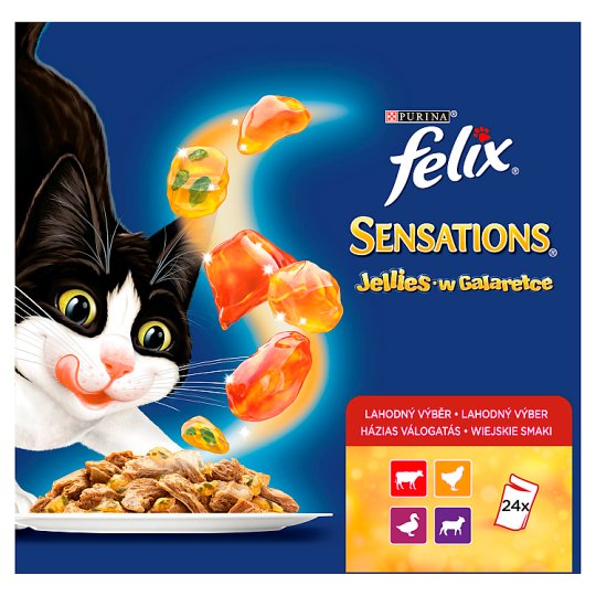 Felix Sensations Home Style Selection Complete Pet Food for Adult Cats