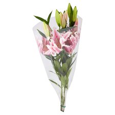 Fresh Flowers Tesco Online Tesco From Home Tesco Doboz Webshop