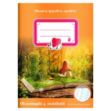 ICO olvasónapló 4. osztálytól 21-32-es sima és vonalas