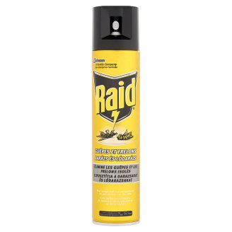 Raid Wasp Killer Aerosol for Indoor Use 300 ml