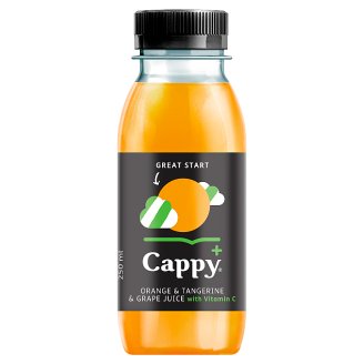 Cappy Plus Great Start vegyesgyümölcslé 250 ml