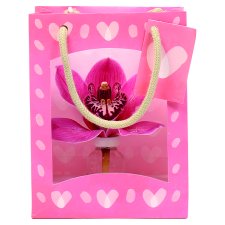 Csónakorchidea dobozban