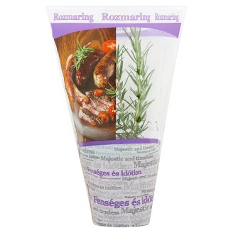 Zöldpont rozmaring