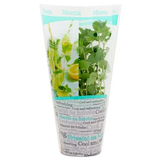 Zöldpont menta