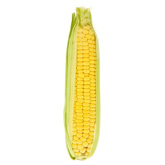 Sweet corn