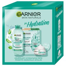 Garnier Hyaluronic Aloe Box Xm24