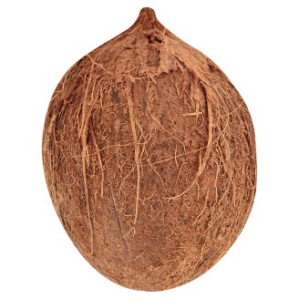Coconut