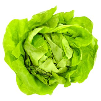 Lettuce Loose