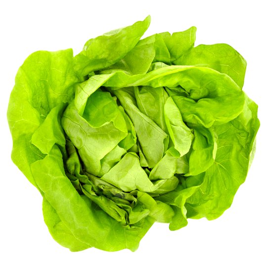 Lettuce Loose