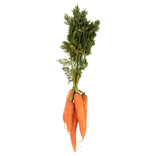 Carrot